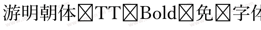游明朝体 TT Bold字体转换